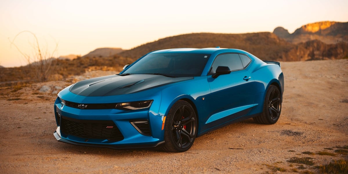 Real-Time Stats & Championship Standings